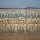 수성반점 이미지