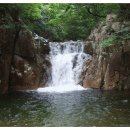 진고려삼계탕 이미지