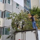 한신아파트 이미지