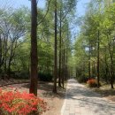 봄꽃산부인과의원 | [칼럼]봄꽃 나들이철, 활동하는 만큼 늘어나는 요실금 불안감