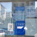 모모일식 이미지