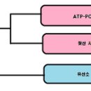 바른에너지 네이버블로그