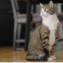 더라온메디칼 이미지