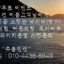 고동따개비체험 네이버블로그