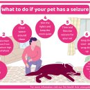 퍼스트 동물메디컬 센터 이미지