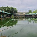 보물섬낚시터 이미지