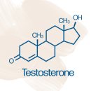 토니바디 휘트니스 이미지
