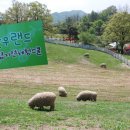 용인축협 한우랜드 이미지