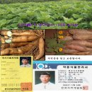 참살이 농장 2 Daum카페