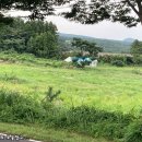 선아유통 이미지