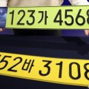 법인금빛