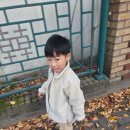 라이브 | 풀무원 두부 팩토리 라이브견학 추천후기에요