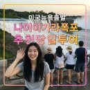 나이아가라관광호텔 | 뉴욕 출발 나이아가라 당일 투어,편안한 벤츠밴,핵심 소수정예,VIP그룹,킹콩