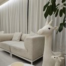 치과가는날치과의원 이미지