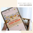 ㈜동행기업 | 창의교구 심플럭 스쿨 5in1 9월 동행축제에서 만나기