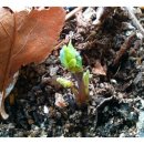 미광세탁소 이미지