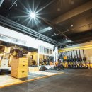 크로스핏 본 이미지