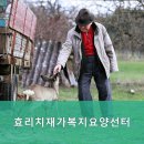 대구치재 네이버블로그