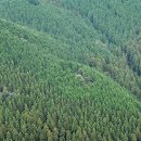 숲속농원민박 이미지