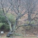 내서읍430 이미지