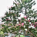 영은정 | 제주시 아이와 놀만한곳 제주물사랑홍보관, 금산생태원