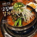고집 | 광주 동명동 감자탕 맛집 고집뼈감자탕 후기