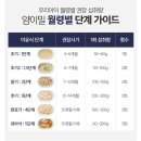 큰돌광고 | [광고]마켓컬리 유아식 추천, 14개월 아기 내돈내산 솔직후기✨ 컬리 추천템으로 정착했어요
