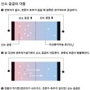 물리산책 -멤리스터는 존재하는가전자회로의 ‘미싱링크’ 프로필 이미지