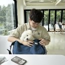 석우 | [일상] 8월, 여름의 끝자락 | 내 전부 사랑하는 동물친구들 그리고 애정하는 사람들이 가득했던 한 달