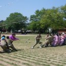 어울초등학교 이미지