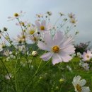 도개다곡길 이미지