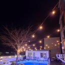 베베올레 이미지