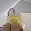 수앤수안마원 이미지