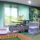 시냇가 푸른나무 유치원 이미지