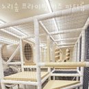 노리숲프라이빗키즈파티룸
