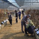 강동로4-5 이미지