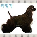 람세스 Daum카페