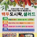대구월 네이버블로그
