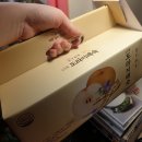 배숙유통
