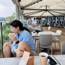 굿모닝메디칼 | 여행] 04월에 모튼섬 탕갈루마 리조트에서 난파선 스노클링+돌고래 피딩 후기(4월 물온도, 이용꿀팁 등)