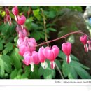 석촌농장 이미지