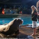 씨 라이프 이미지