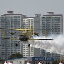 날으는고양이 이미지