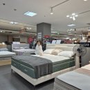 건영슈퍼 | 금성침대 헤스티스 견적 킹 사이즈 상담후기