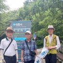 부산 영도 태종대 이미지