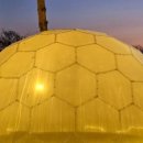 코지네이쳐 이미지