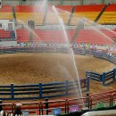 청도소싸움경기장 이미지