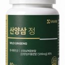 드빅 네이버블로그