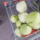 천북농협하나로마트 이미지