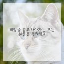 우리수한방병원 이미지